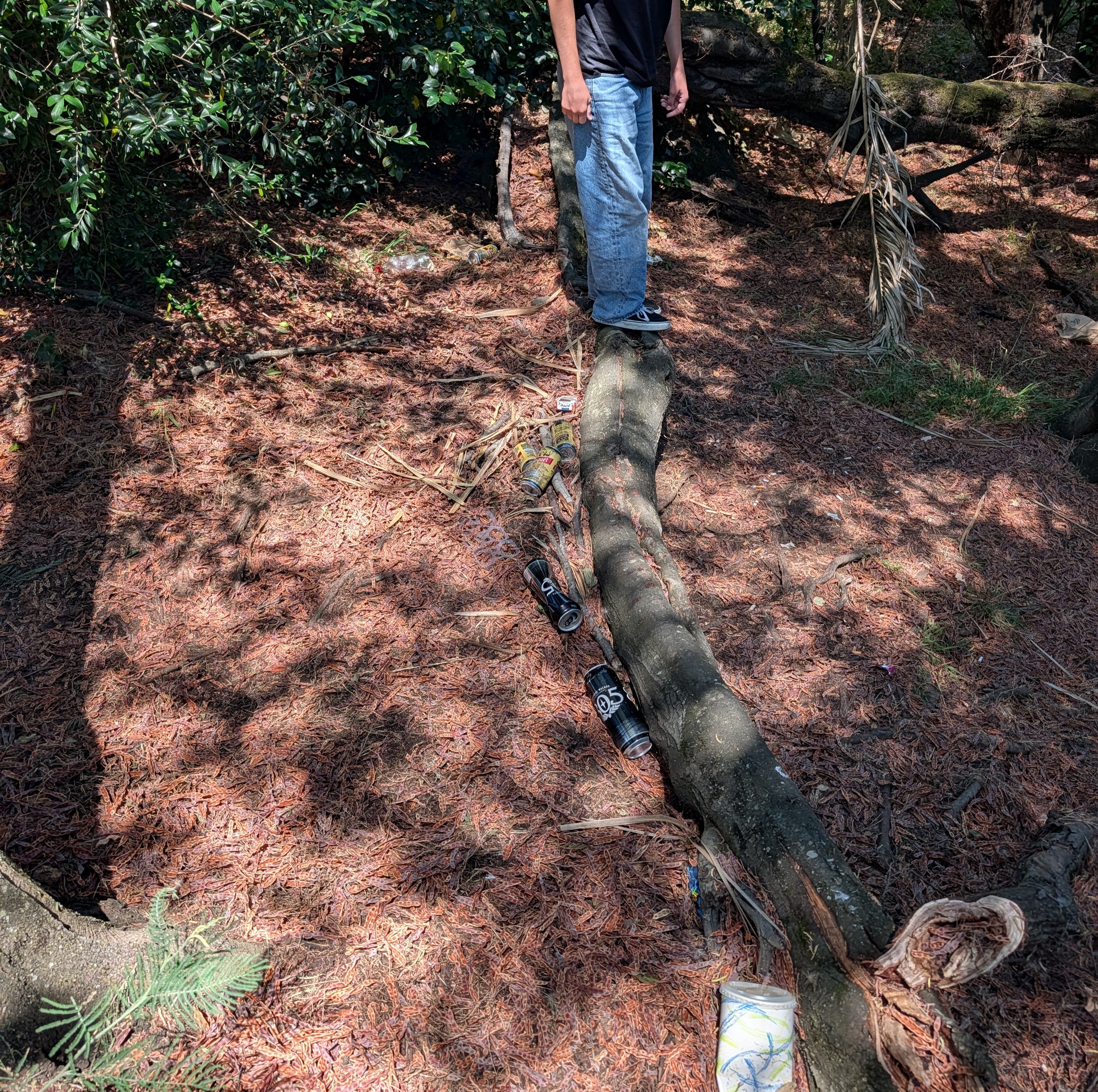 beer