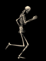 Skeleton Walk