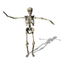 Skeleton Wave